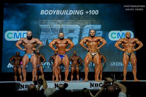 BODYBUILDING +100